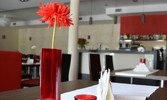Hotel Cynamon Tokarnia  Ngoại thất bức ảnh